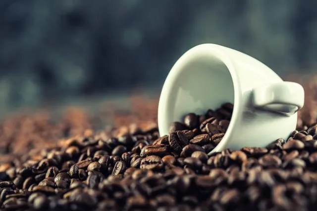 Arabica a robusta – czym różnią się najpopularniejsze gatunki kaw?