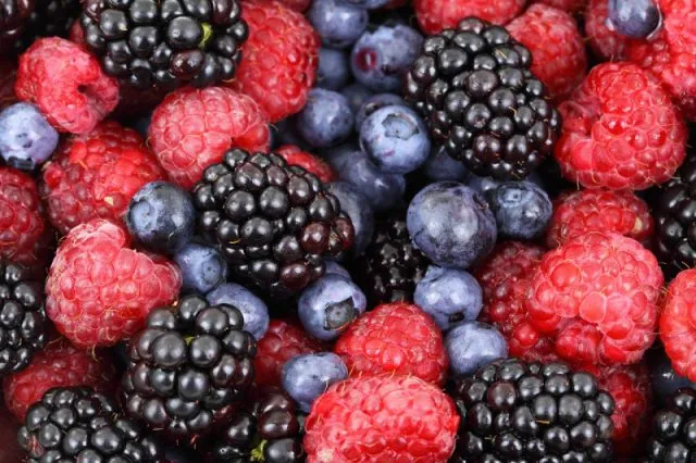 Zdrowa dieta i istota cateringu dietetycznego w codziennym życiu